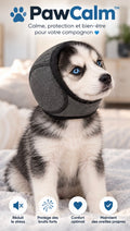 PawCalm — Snood apaisant pour chien