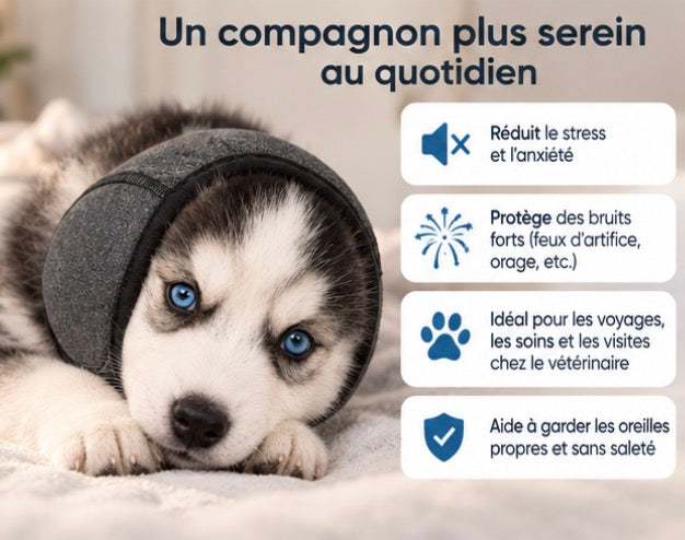 PawCalm — Snood apaisant pour chien